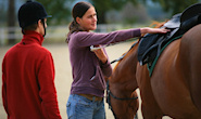 Equestrian Pilates Certification Program