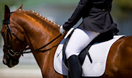 Equestrian Pilates Clinics