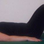 WHAT’S NEW IN EQUESTRIAN PILATES®?