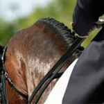 The Riding-Pilates Connection