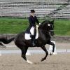 Level 1 EQUESTRIAN PILATES&reg; Online Mat Certification